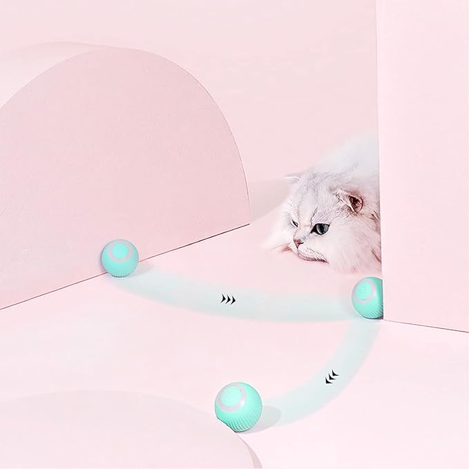 Pet Toy Ball with LED Light