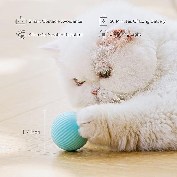 Pet Toy Ball with LED Light